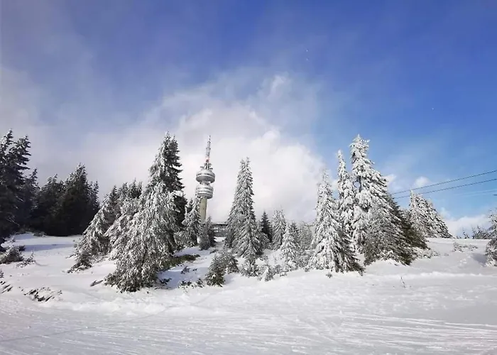 Grand Monastery Violet With One Bedroom And A Terrace Apartment Pamporovo