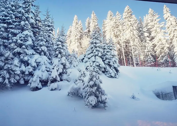 Grand Monastery Violet With One Bedroom And A Terrace Apartment