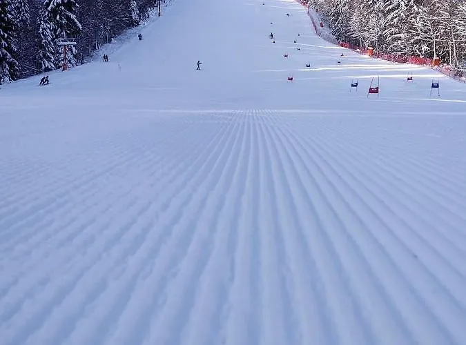 Grand Monastery Violet With One Bedroom And A Terrace Pamporovo