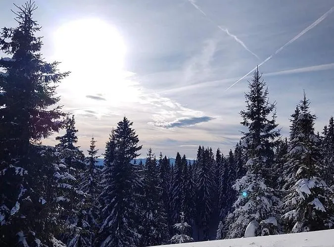 Grand Monastery Violet With One Bedroom And A Terrace Apartment